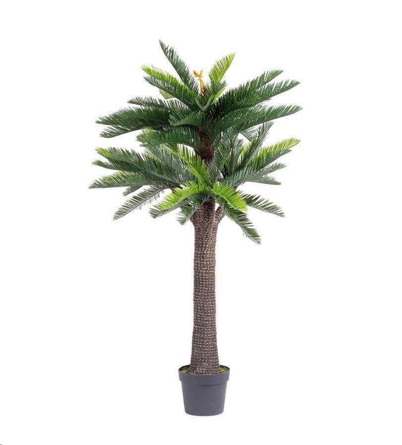 PIANTA CYCAS ANTI-UV C-VASO 67FOGLIE H190 PLASTICA/FIL.FERRO