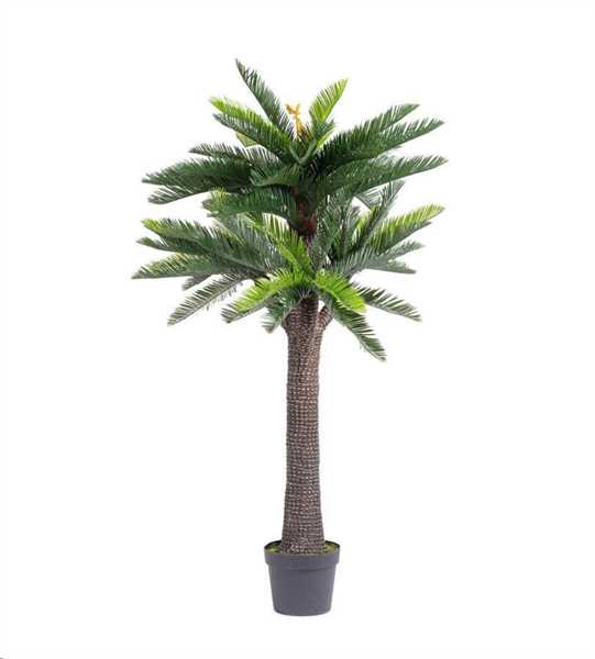 PIANTA CYCAS ANTI-UV C-VASO 67FOGLIE H190 PLASTICA/FIL.FERRO