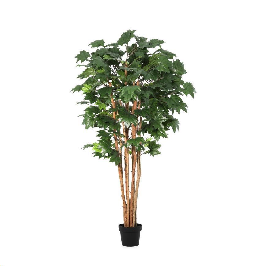 PIANTA ACERO CANADESE C-VASO Ø65x175h POLIESTERE/LEGNO-PE