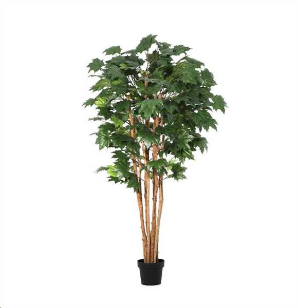 PIANTA ACERO CANADESE C-VASO Ø65x175h POLIESTERE/LEGNO-PE