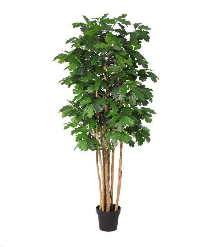 PIANTA QUERCIA C-VASO Ø70x170h POLIESTERE/LEGNO/METALLO/PE
