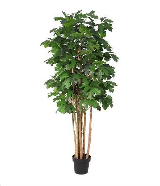 PIANTA QUERCIA C-VASO Ø70x170h POLIESTERE/LEGNO/METALLO/PE
