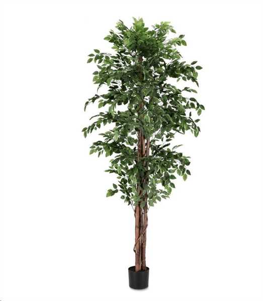 PIANTA FICUS C-VASO Ø90x210h POLIESTERE/LEGNO/PE