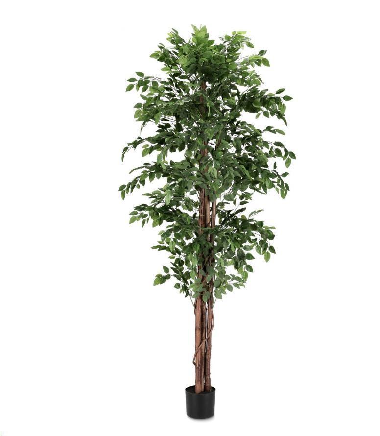 PIANTA FICUS C-VASO Ø90x210h POLIESTERE/LEGNO/PE