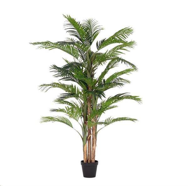 PIANTA KENZIA C-VASO 40FOGLIE Ø95x210h FIL DI FERRO/PLASTICA