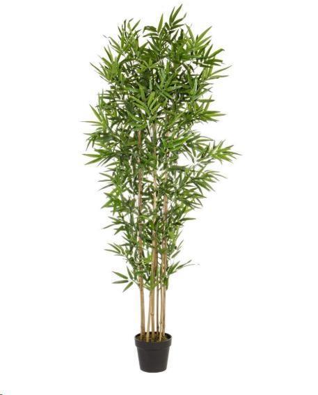 PIANTA BAMBOO C-VASO E FOGLIE POLIESTERE H185CM