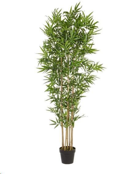 PIANTA BAMBOO C-VASO E FOGLIE POLIESTERE H185CM