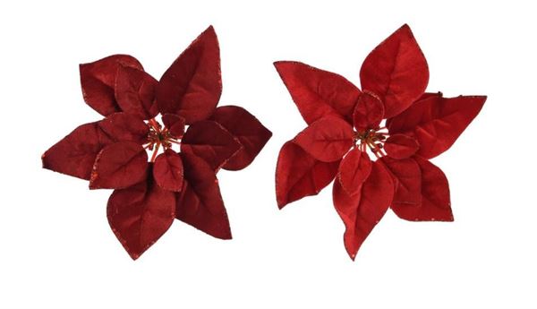 POINSETTIA CLIP VELLUTO GLITTER CM.D28X5H 2 COL. ASS.
