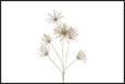 RAMO FIORI GREVILLEA PVC ORO CM.36X25X111