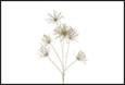 RAMO FIORI GREVILLEA PVC ORO CM.36X25X111