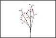 RAMO BACCHE ROSSE PVC 6X13X82CM