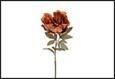 PEONIA MARRONE PVC 16X16X60CM