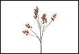 RAMO BACCHE LIGUSTRUM MARRONE 20X11X87CM PVC