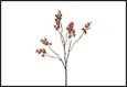 RAMO BACCHE LIGUSTRUM MARRONE 20X11X87CM PVC