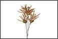 RAMO BACCHE AMARANTHUS MARRONE PVC  23X13X96CM