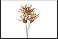 RAMO BACCHE AMARANTHUS MARRONE PVC  23X13X96CM