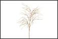 RAMO PIUME STIPA CREMA PVC 7,5X30X78CM