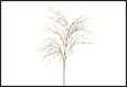 RAMO PIUME STIPA CREMA PVC 7,5X30X78CM
