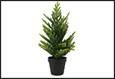 ALBERO CRYPTOMERIAVERDE 14X14X45CM PLASTICA