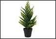 ALBERO CRYPTOMERIAVERDE 14X14X45CM PLASTICA