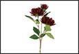 RAMO FIORI CHRYSANTHEMUM VIENNA VIOLA 12X12X73CM PVC/TESSUTO