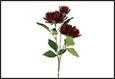 RAMO FIORI CHRYSANTHEMUM VIENNA VIOLA 12X12X73CM PVC/TESSUTO