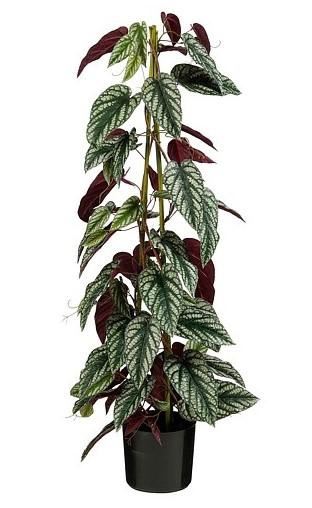 PIANTA RAMPICANTE VERDE PP IN VASO H121XD35 CM