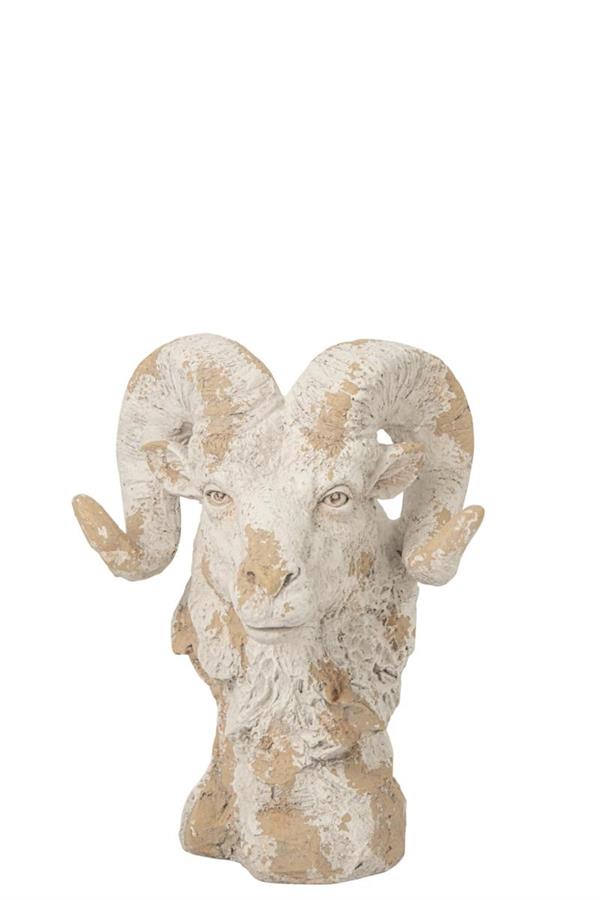 TESTA ARIETE (42x36x58cm)