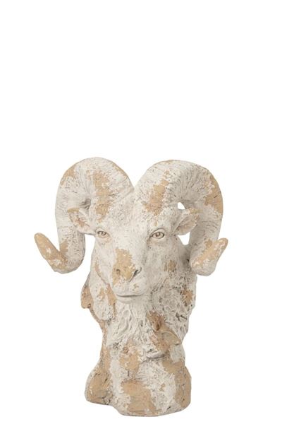 TESTA ARIETE (42x36x58cm)