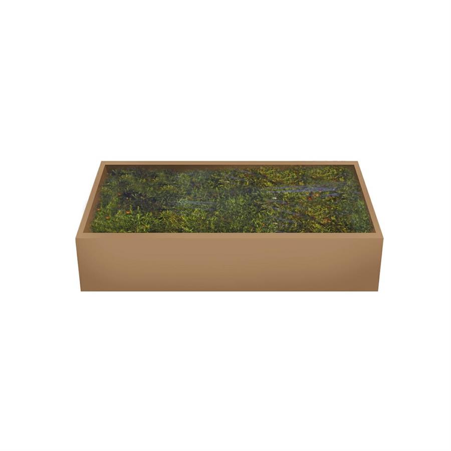 MUSCHIO VERDE 500GR