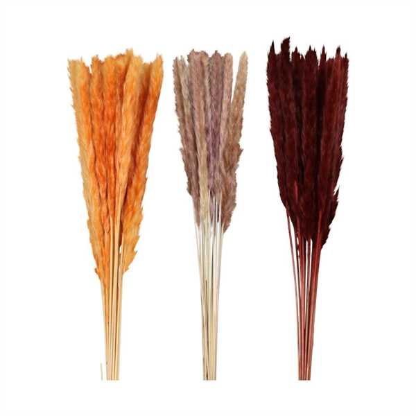 MAZZO PAMPAS NATURALE CM.70x11x4 ASS. 3 COL.