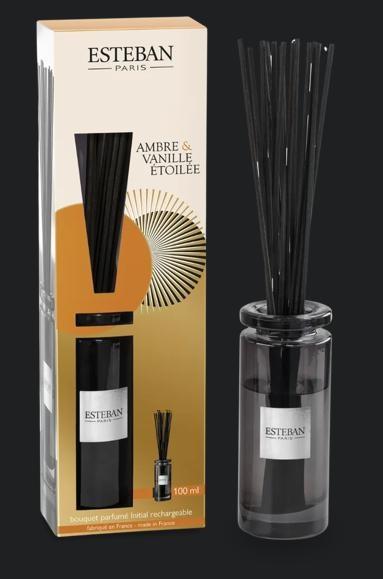 BOUQUET PROFUMATO INITIAL CON RICARICA 100ML AMBRE ET VANILL