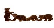 ORSO MARRONE ASS.4MOD.  PVC FLOCCATO CM.19