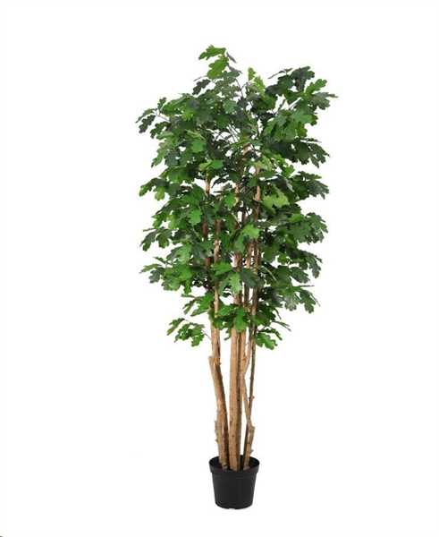 PIANTA QUERCIA C-VASO Ø85x210h POLIESTERE/LEGNO/METALLO