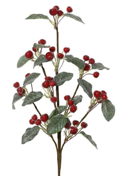 RAMO C/FOGLIE POLIETILENE C/BACCHE ROSSE SCHIUMA 20X5XH.65CM