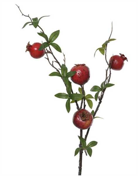 RAMO MELOGRANO CON FOGLIE CM.17X68H RED