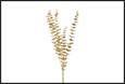RAMO EUCALYPTUS ORO 3X16X85CM PVC