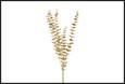 RAMO EUCALYPTUS ORO 3X16X85CM PVC