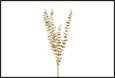 RAMO EUCALYPTUS ORO 3X16X85CM PVC