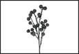RAMO BACCHE VACCINIUM NERO PVC  43X16X88CM