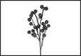 RAMO BACCHE VACCINIUM NERO PVC  43X16X88CM