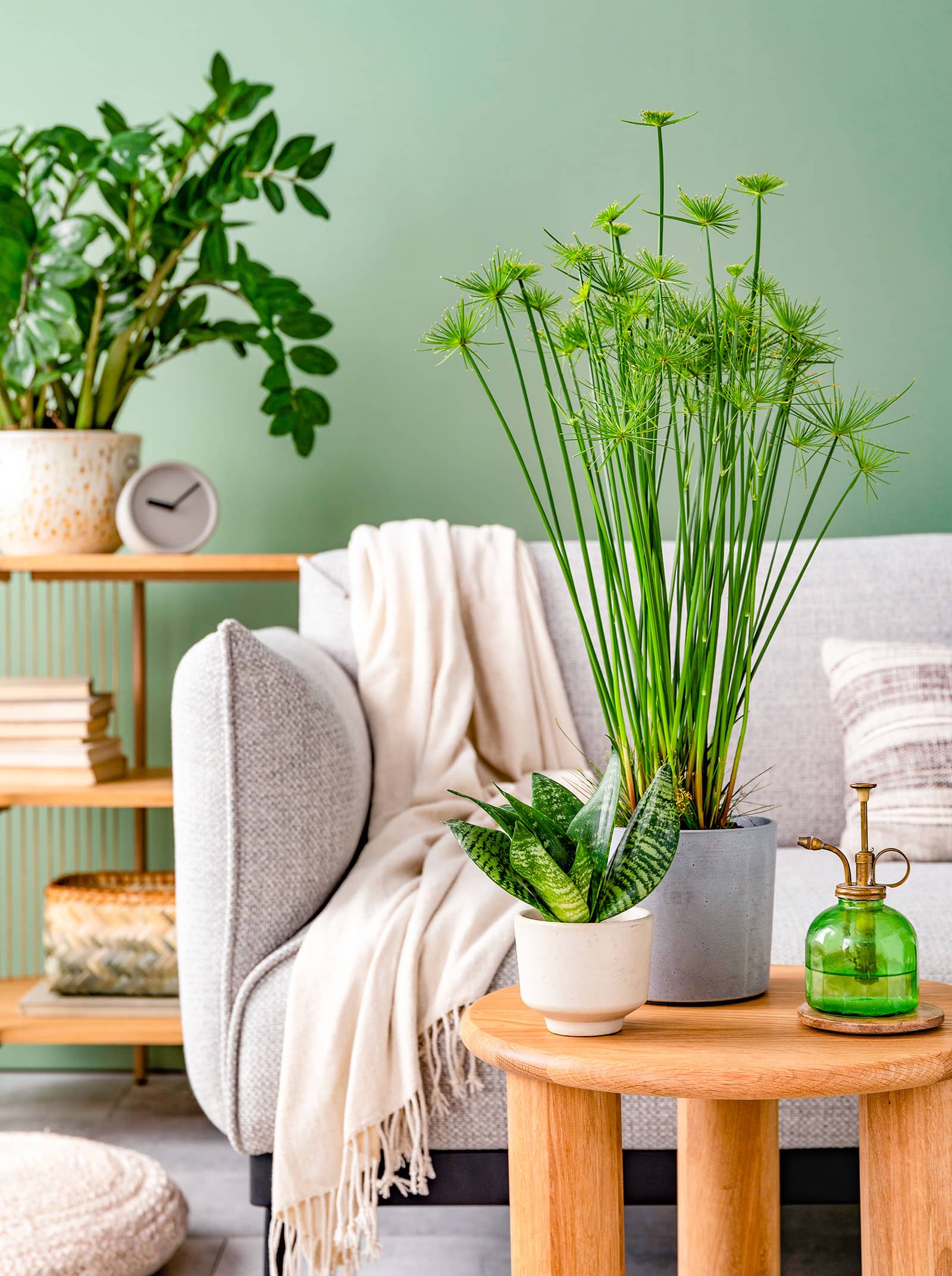 home_flowers_piccoli_web